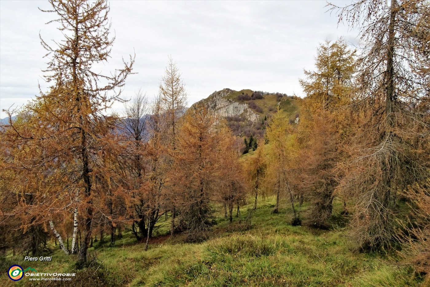 73 Larici colorati d'autunno con vista in Sornadello.JPG